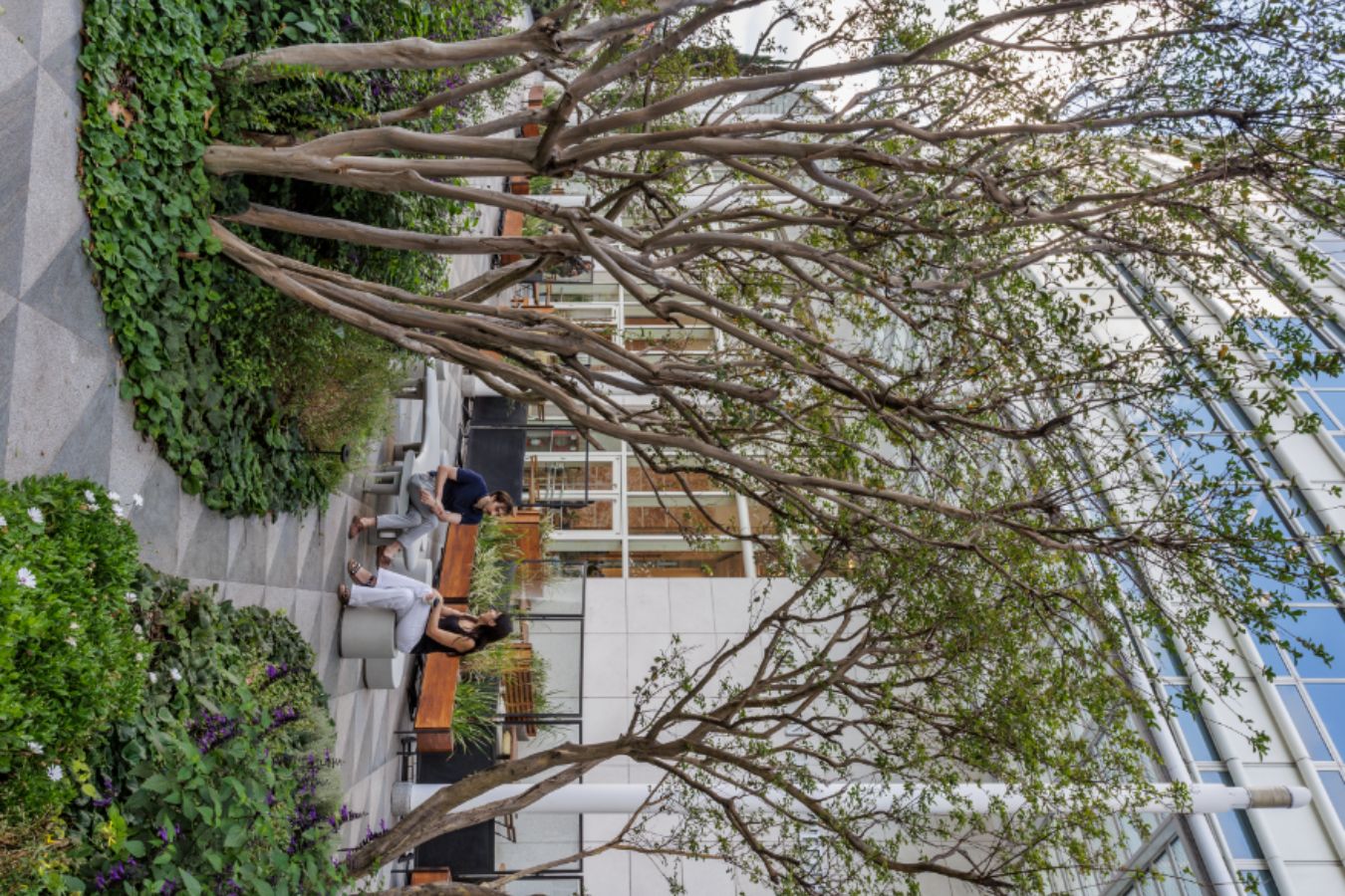 Edificio Republica - Lush outdoor corporate garden path with mature trees and stone pavers - Contract Workplaces.jpg